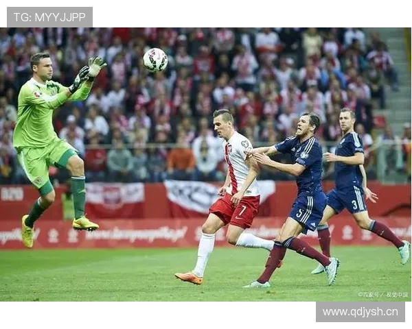 欧洲杯预选赛奥地利